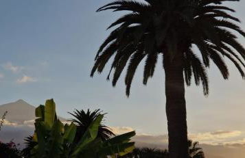 Lovely La Palmita - Foto 12