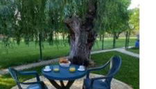 Logement lumineux, entièrement rénové avec jardin - Foto 2