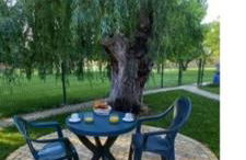 Logement lumineux, entièrement rénové avec jardin - Foto 2