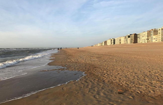 Apartment in Koksijde Near the Beach - Photo 38