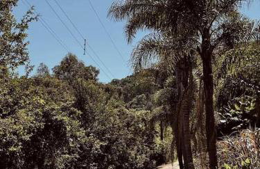 Sítio em área rural, ao pé da Serra Gaúcha. - Foto 16