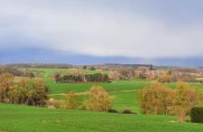 Ferienwohnung Seeblick - Foto 6