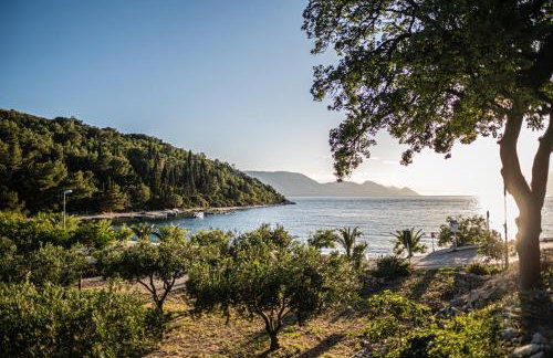 Nera Etwa House - Photo 50