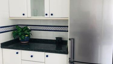 Apartamento 1ª LINEA PLAYA MUCHAVISTA - Foto 3