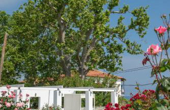 Aeolos Hotel & Villas - Pelion - Foto 49