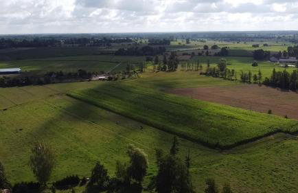 Maciejówka Gospodarstwo Agroturystyczne - Foto 35