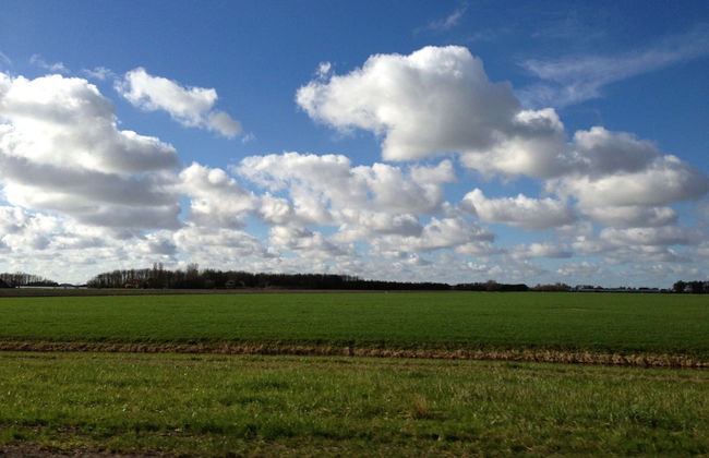 Nice Chalet Near the Wadden Sea - Foto 28