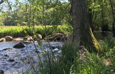 Ferienwohnung Sander - Foto 23