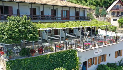 Ammos papanero - Foto 4