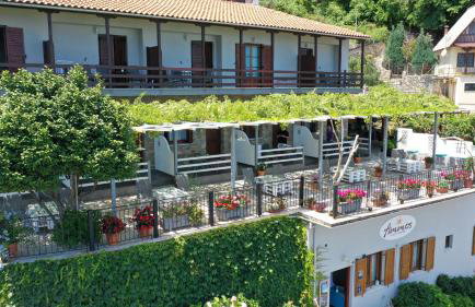 Ammos papanero - Foto 4