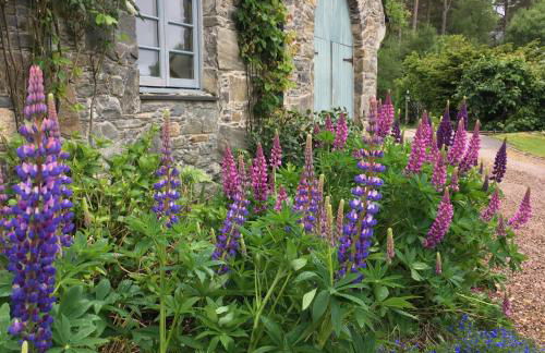 The Smiddy - Foto 21