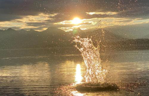 Villa Herzland Allgäu mit großem Garten und gemütlichem Kaminfeuer inklusive KÖNIGSCARD, Skipass, Bergbahn, Therme inkl - Foto 28
