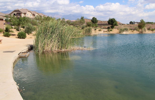 Canyon Villas at Coral Ridge - Foto 21