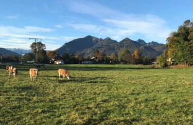 Ferienhaus Westerbuchberg - Photo 36