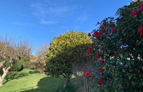 Beautiful Garden Room with Private Entrance - Foto 11