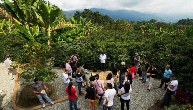 Armenia Coffee Farm Tour - Foto 5