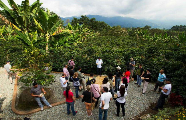 Armenia Coffee Farm Tour - Photo 6