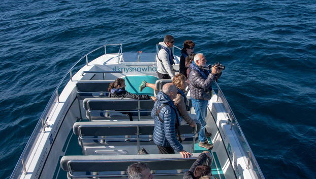 Un gruppo sulla barca durante l'avvistamento