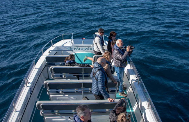 Avistamiento de ballenas en Knysna - Foto 2