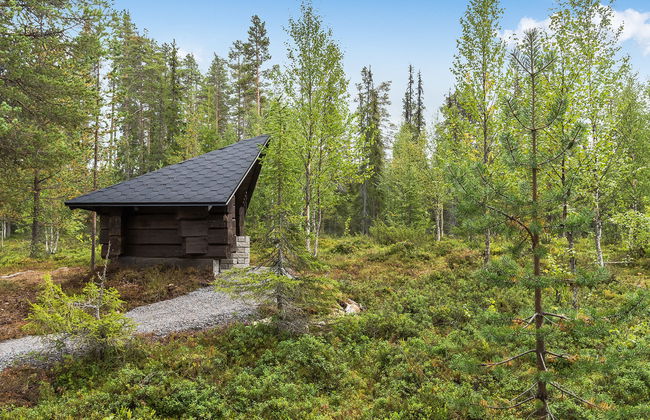 Päivänsäde 8 lapinkulta - Photo 2