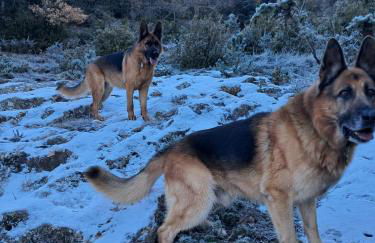 Cal Foraster - Foto 59