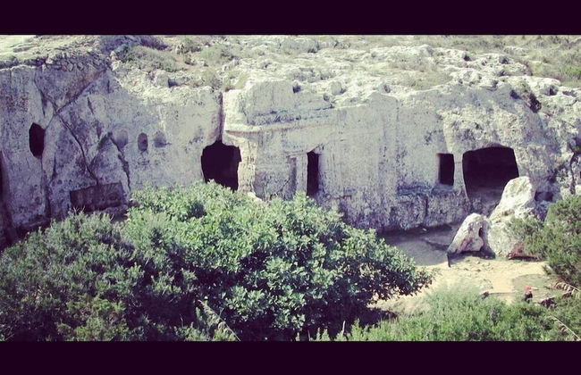 Apartamentos Sa Cala - Photo 29