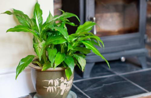 Magnolia Cottage - Foto 11