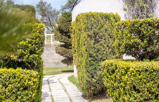 Jimmy's Garden - Foto 61