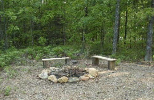 Romantic, pet friendly cabin with private hot tub, washer/dryer and full kitchen Studio Cabin by RedAwning - Foto 36