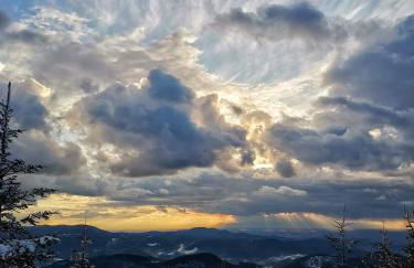Ferienhaus Haus Herzog - Foto 67