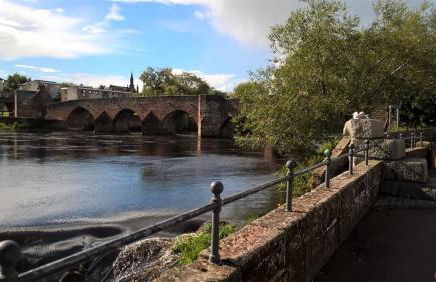 Number 48 - Photo 18