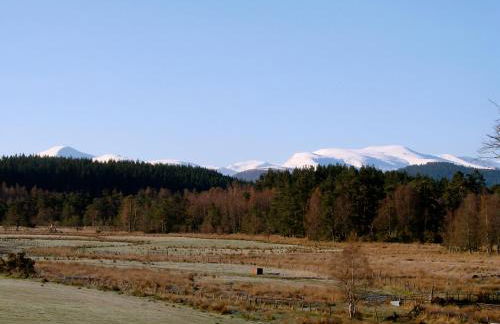 The Dell of Abernethy - A Woodland hideaway - Foto 122