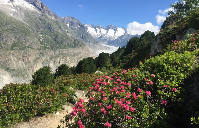 Amici 1. OG West - Foto 42