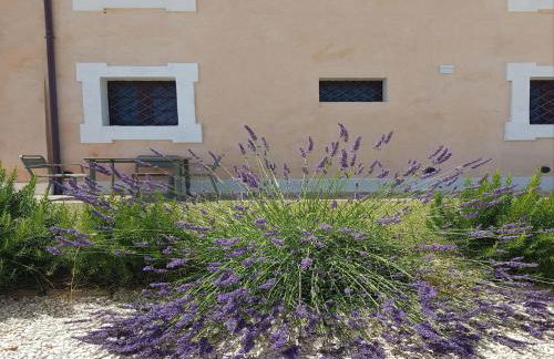 Manor in Marche With Pool & Near Adriatic Beaches - Foto 12