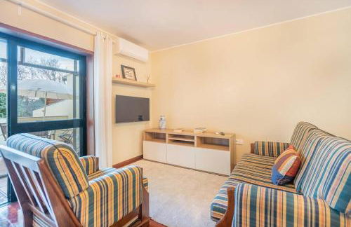 Tulipa do Gêres - Foto 23