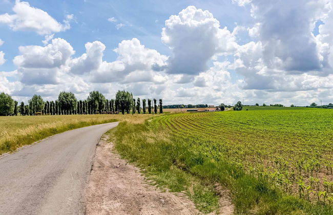 Modern Holiday Home in Avelgem with Sauna & Hot Tub - Foto 36