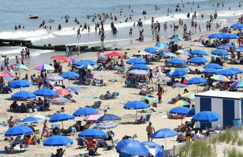 Stylish 2BR Condo Near Beach, Large Pool & Patio, Pet Friendly - Foto 55