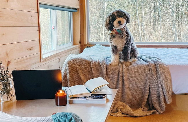 Postcard Cabins Beaver Creek, Outdoor Collection by Marriott Bonvoy - Foto 3