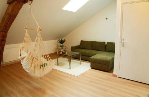 Appartement de charme à Nancy - Foto 21