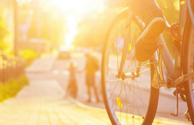 Tour de bicicleta por Valladolid - Foto 1