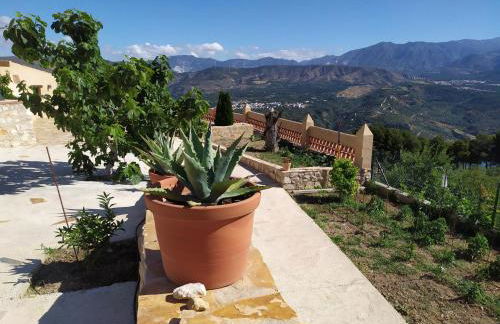 Cortijo Don Enrique - Foto 15