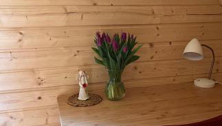 Okno na las - Foto 2