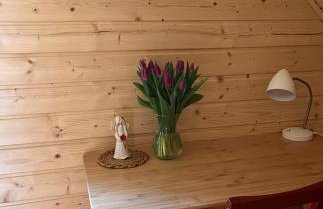 Okno na las - Foto 2