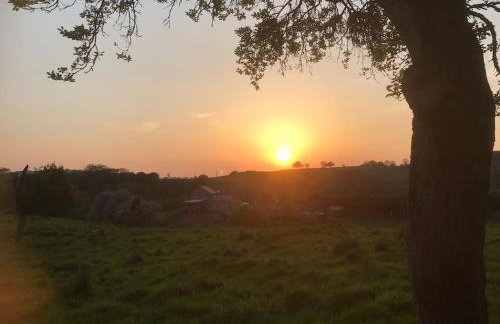 The Potting Shed - Photo 54