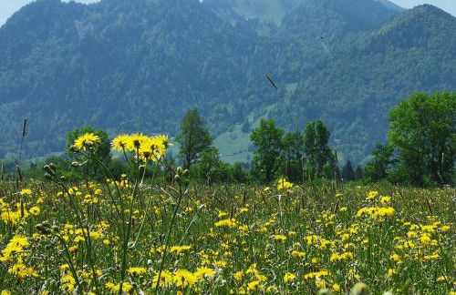 Landhaus Am Arzbach - Foto 74