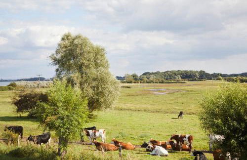 Bades Huk Ferien-Resort - Foto 106