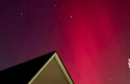 The Pink House - Foto 32