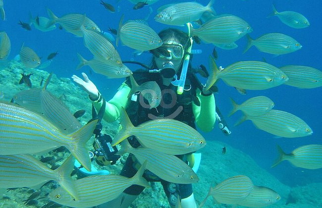 BUCEO: La exploración submarina de Kallithea - Foto 28