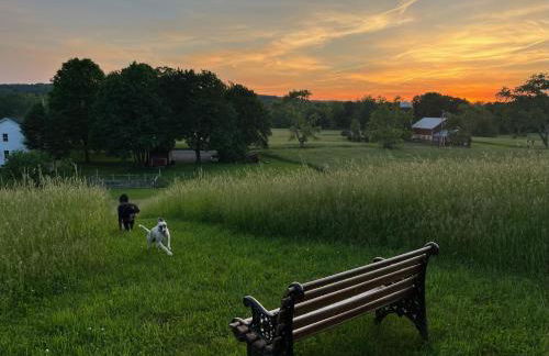 Gorgeous Hudson Valley Farmhouse on 14 Acres home - Foto 42