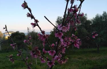 Martha's Villa - Foto 13